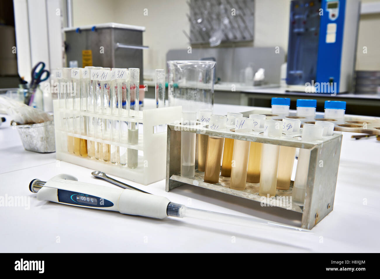 Forschung von biologischem Material im biochemischen Labor Stockfoto