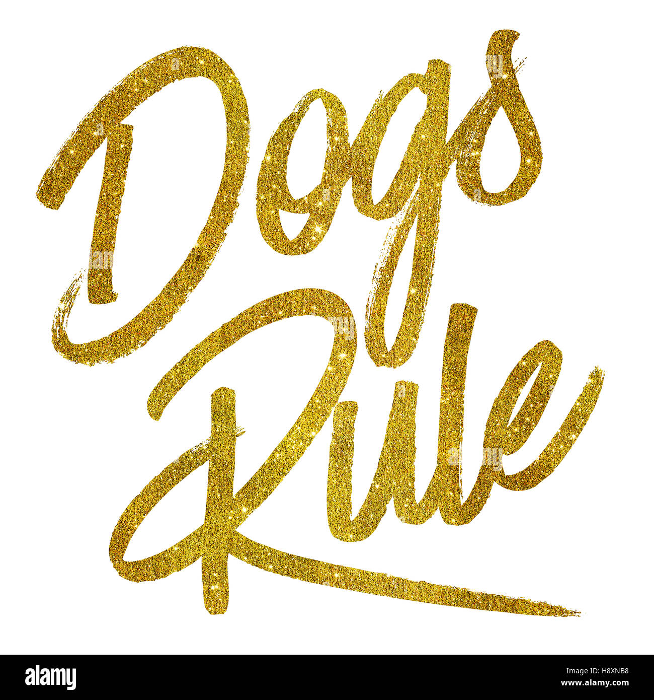 Hunde Regel Gold Faux Folie Metallic Glitter Zitat isoliert Stockfoto