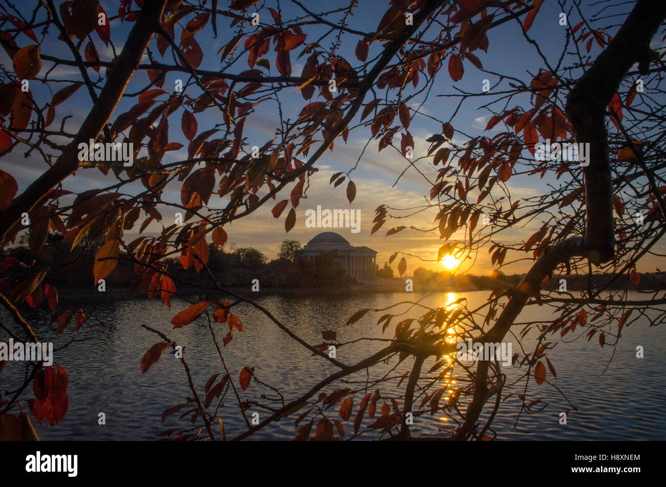 Sonnenuntergang hinter dem Jefferson Memorial, umrahmt von roten blätterte Kirschbäume am Ufer des Tidal Basin in Washington, DC. Stockfoto