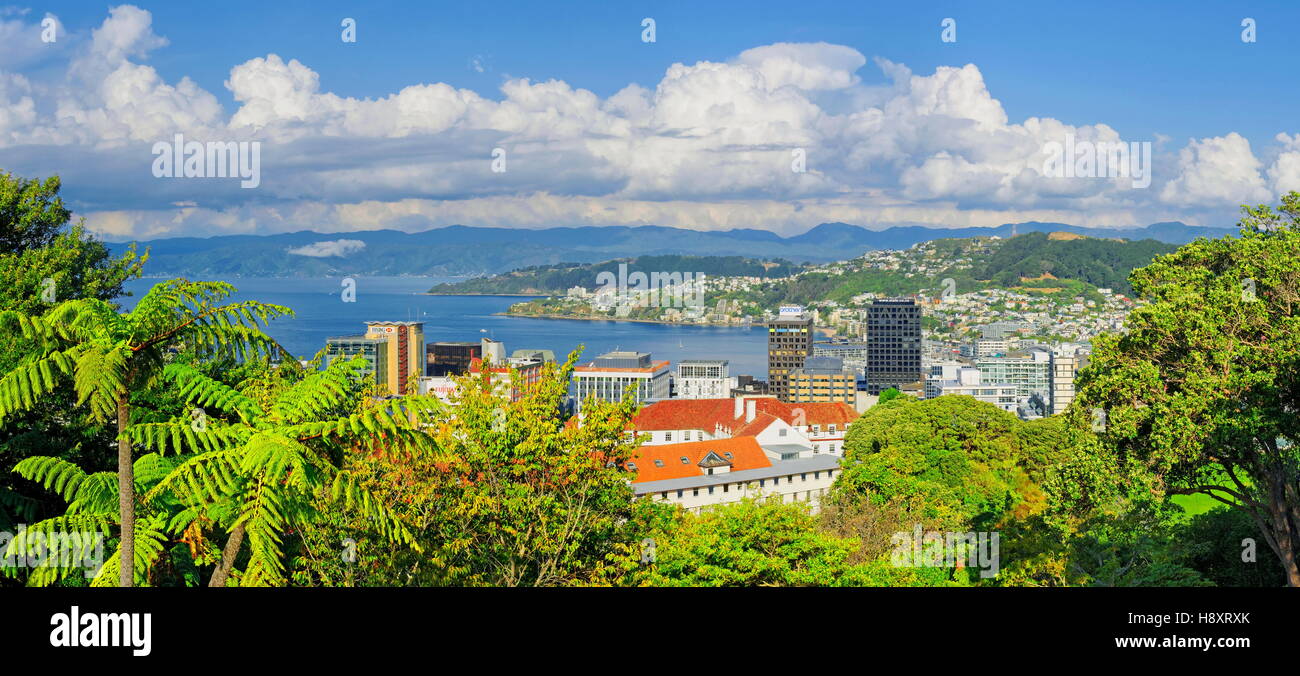 Panoramablick von Wellington, Nordinsel, Neuseeland Stockfoto