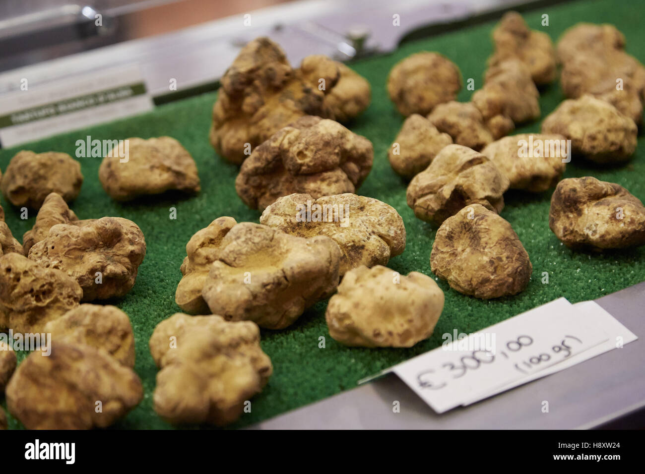 Große weiße Trüffel auf Verkauf im Alba weiß Trüffelmesse in Alba, Italien Stockfoto