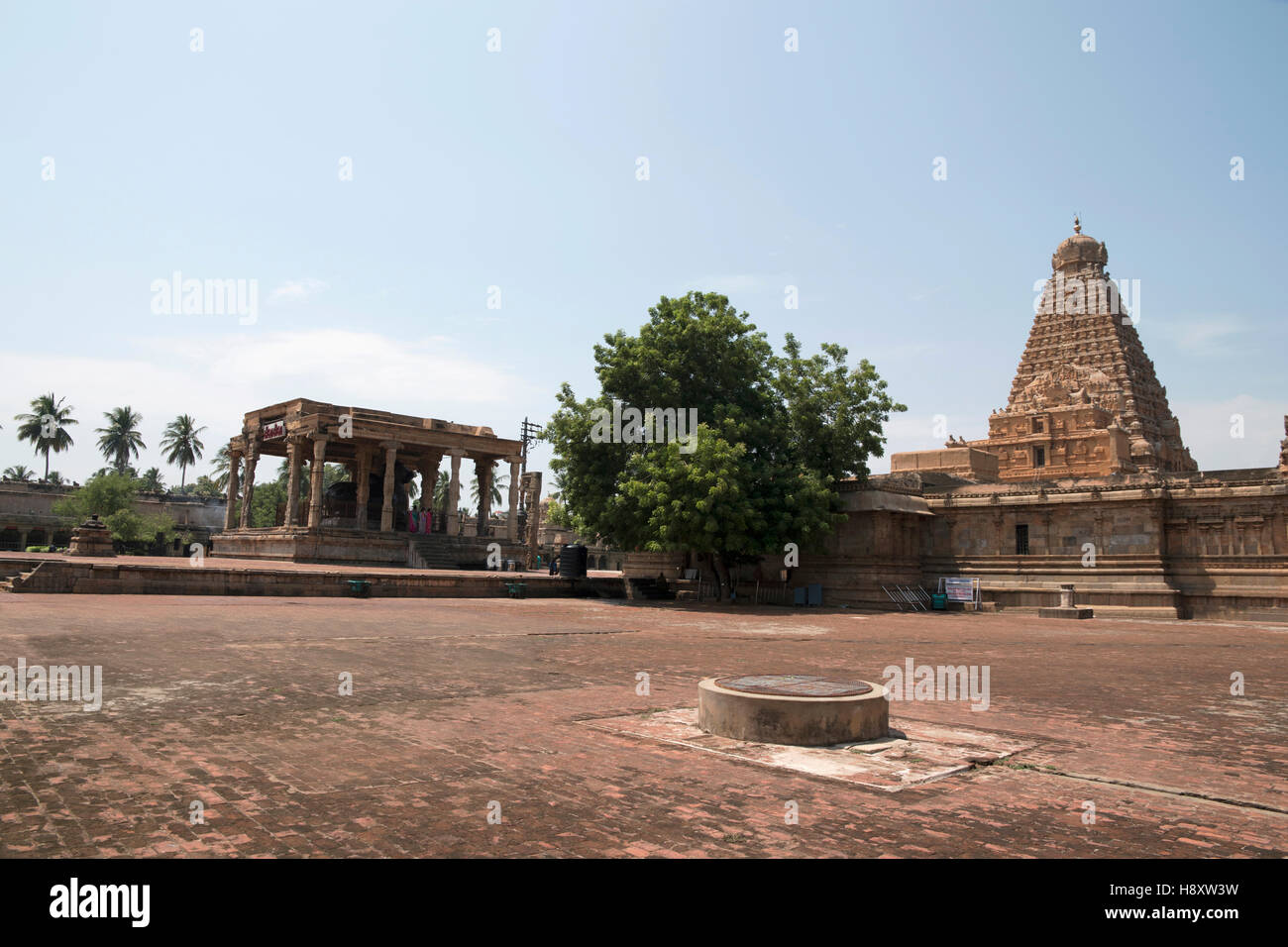 Nadi Mandapa auf der linken Seite und Brihadisvara-Tempel in Thanjavur, Tamil Nadu, Indien. Stockfoto
