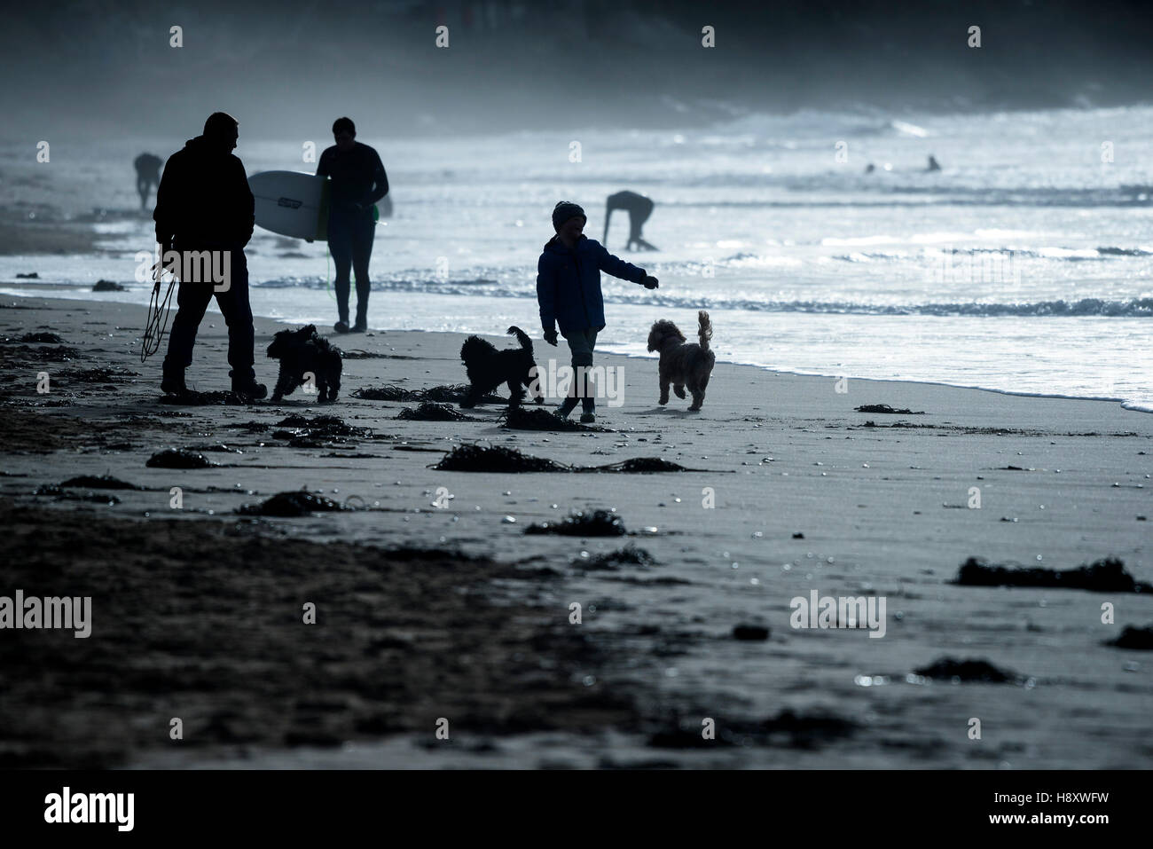 Menschen in Silhouette auf den Fistral Beach in Newquay, Cornwall gesehen. Stockfoto