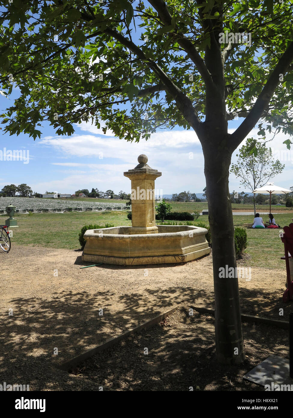 Dominique Portet Weingut im Yarra Valley, Victoria Australien Stockfoto