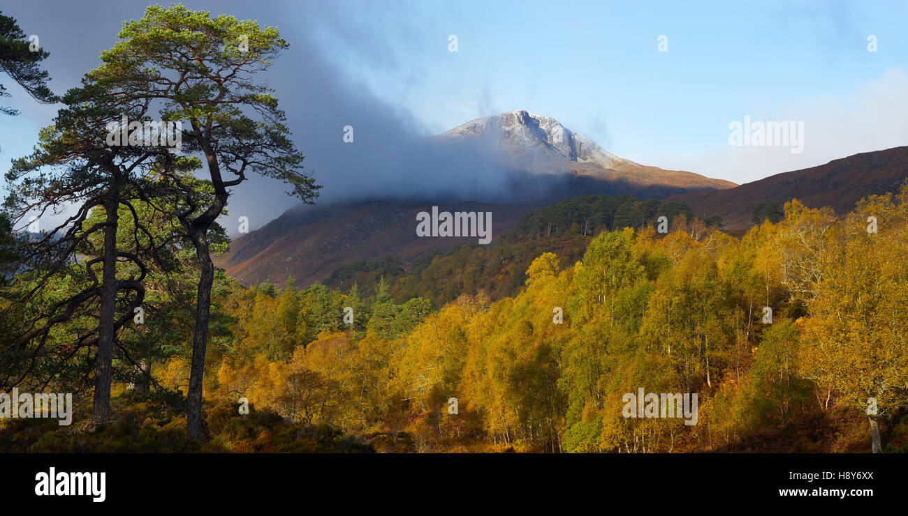 Sgurr Na Lapaich, Glen Affric, Highland, Schottland im Herbst. Panorama Stockfoto