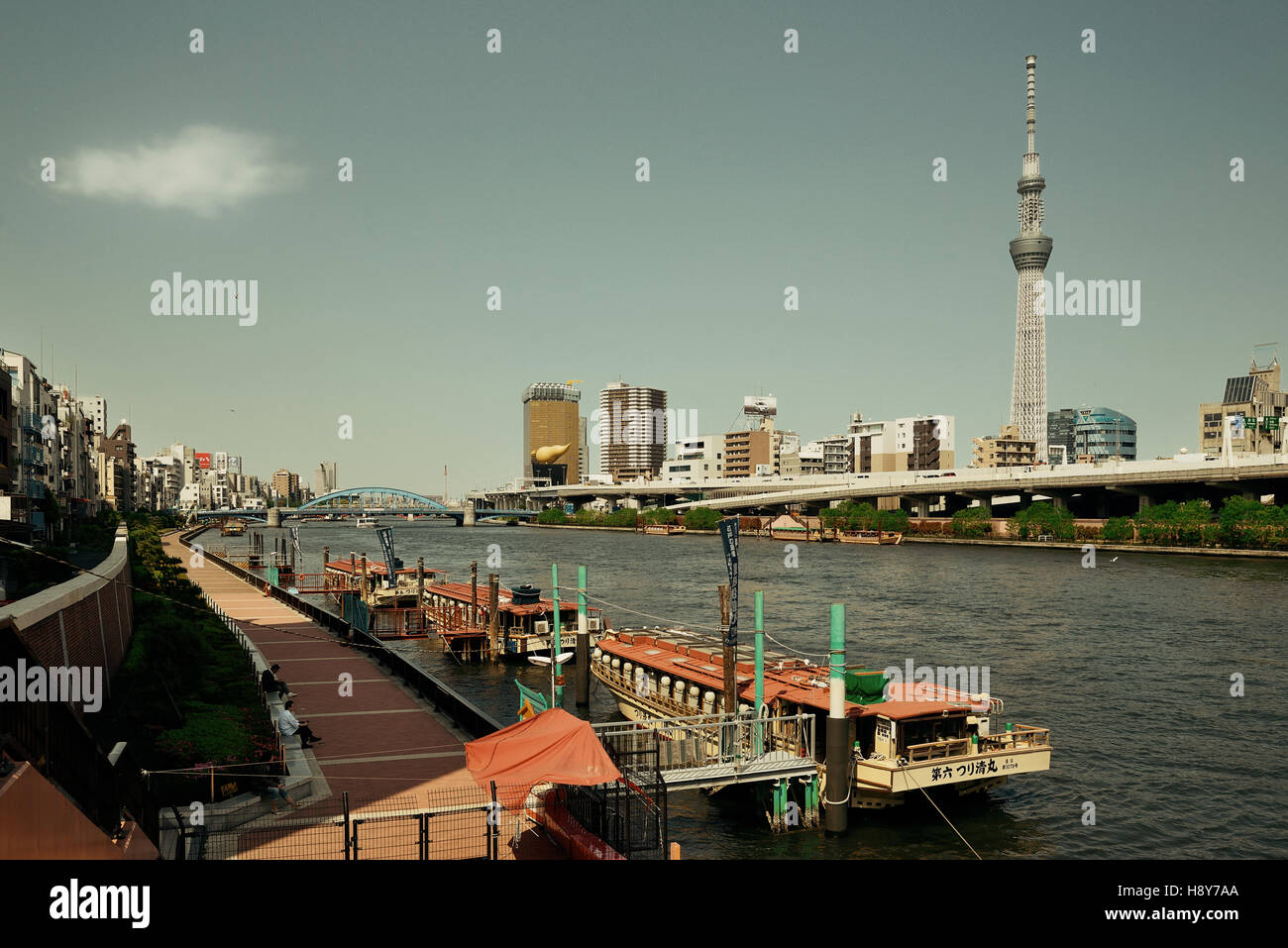 Was Ist Ein Ballungsraum TOKYO, JAPAN - Mai 15: Skytree als das Wahrzeichen der Stadt am 15. Mai