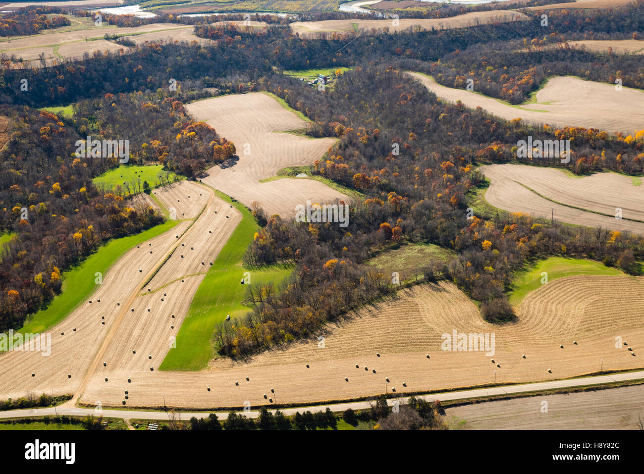 Luftaufnahme von abgeernteten Feldern und Wäldern im nordöstlichen Iowa. Stockfoto