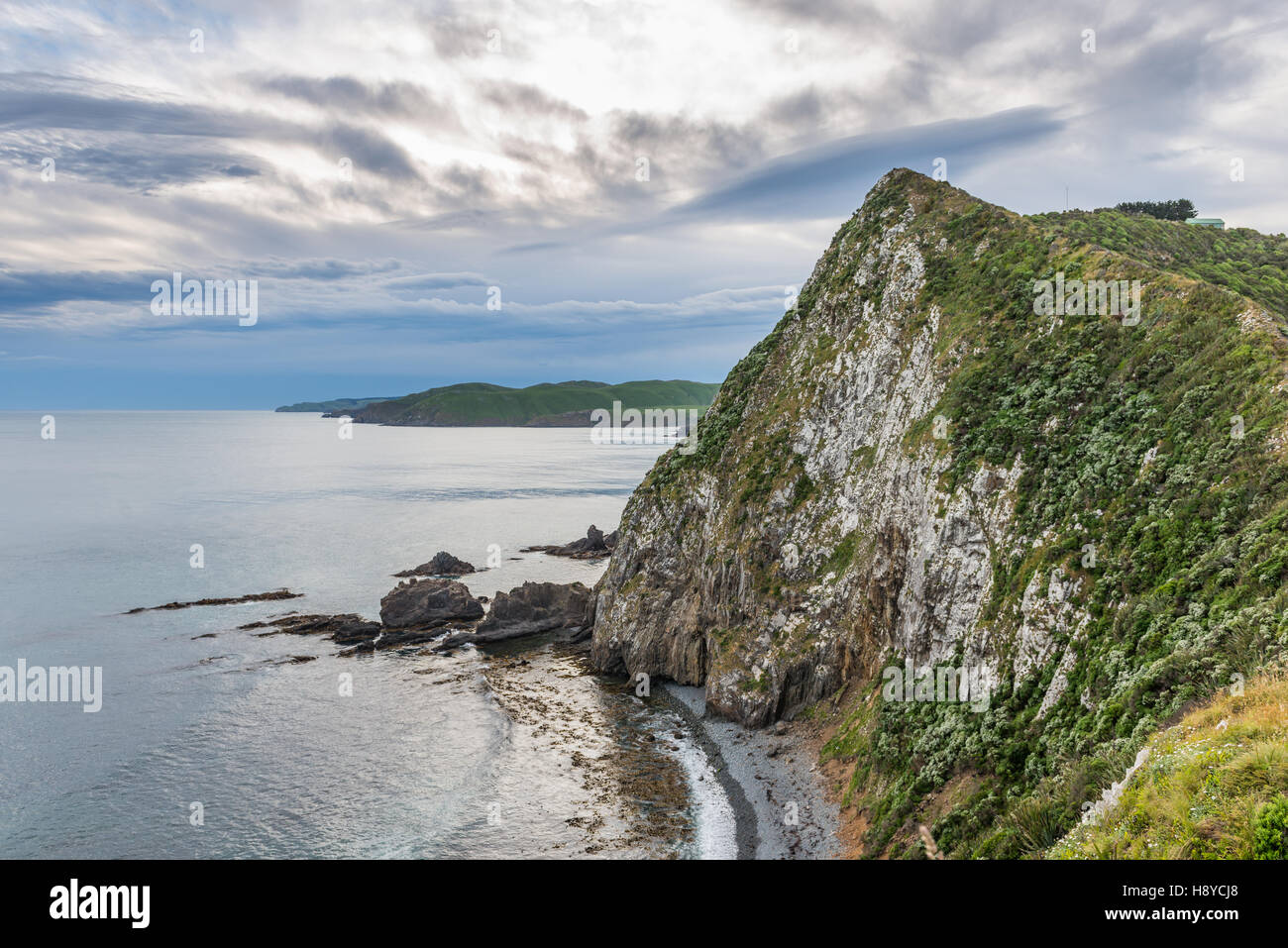 Klippen um Nugget Point, Catlins Coast, Neuseeland Südinsel. Stockfoto