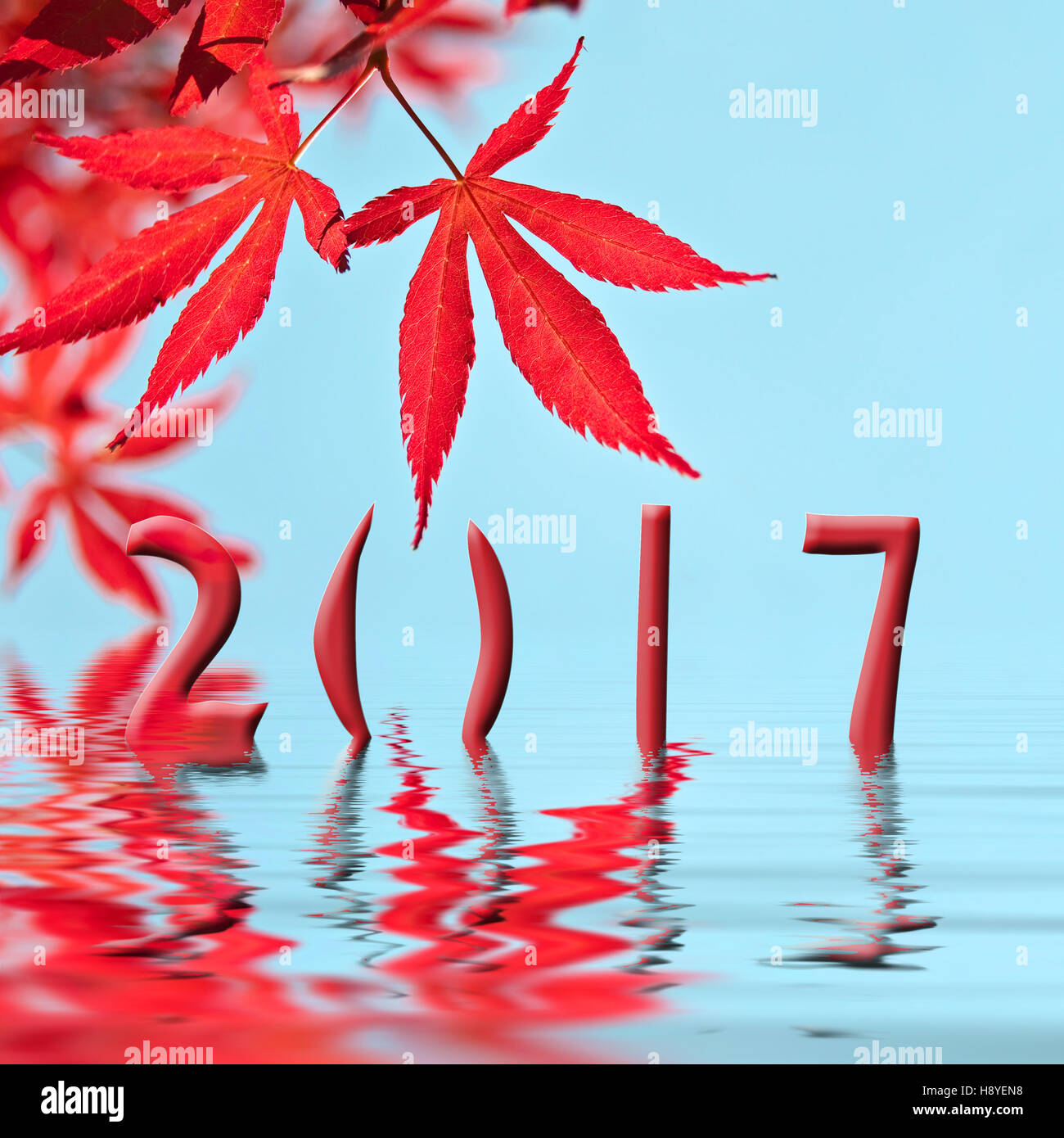 2017 rot-Ahorn Baum Blatt Grußkarte Stockfoto