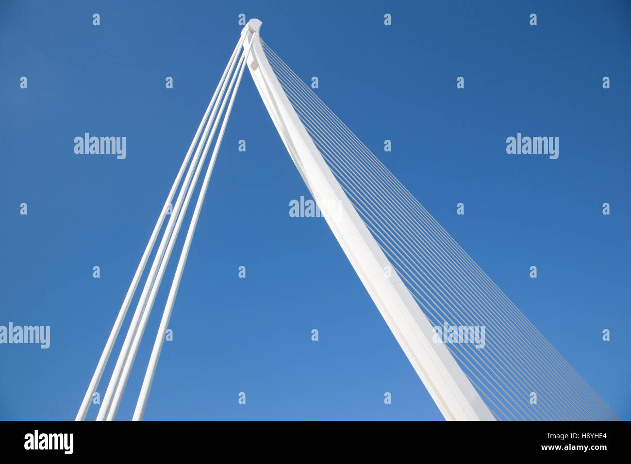 Assut de L'Or Brücke; Stadt der Künste und Wissenschaft, Valencia Stockfoto