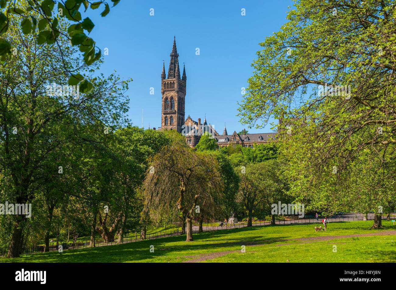 Der Turm der Glasgow University, entworfen von Gilbert Scott. von Kelvingrove park Stockfoto