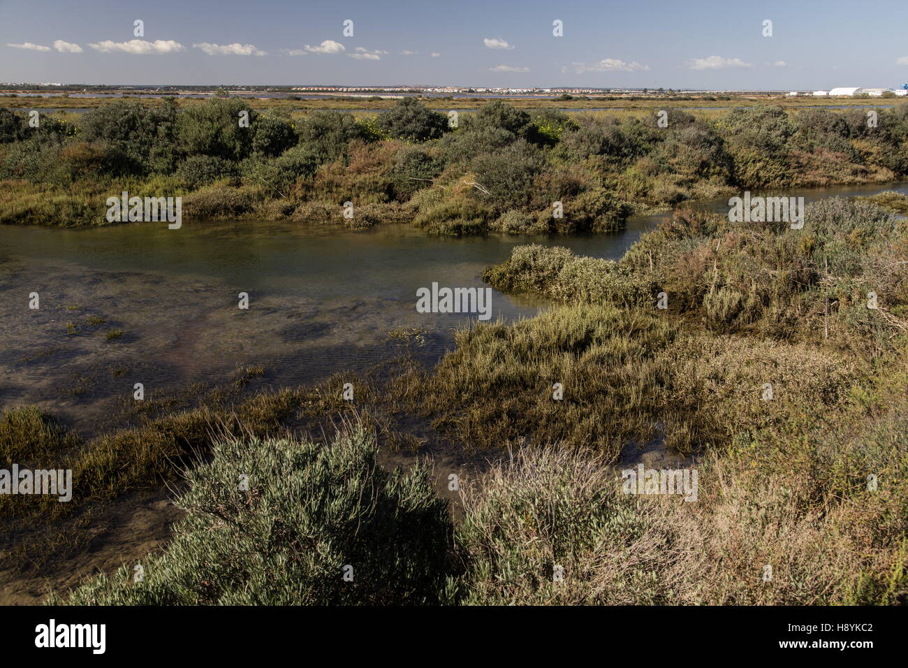 Salzwiesen im Südwesten Marismas del Odiel, Huelva, Spanien Stockfoto