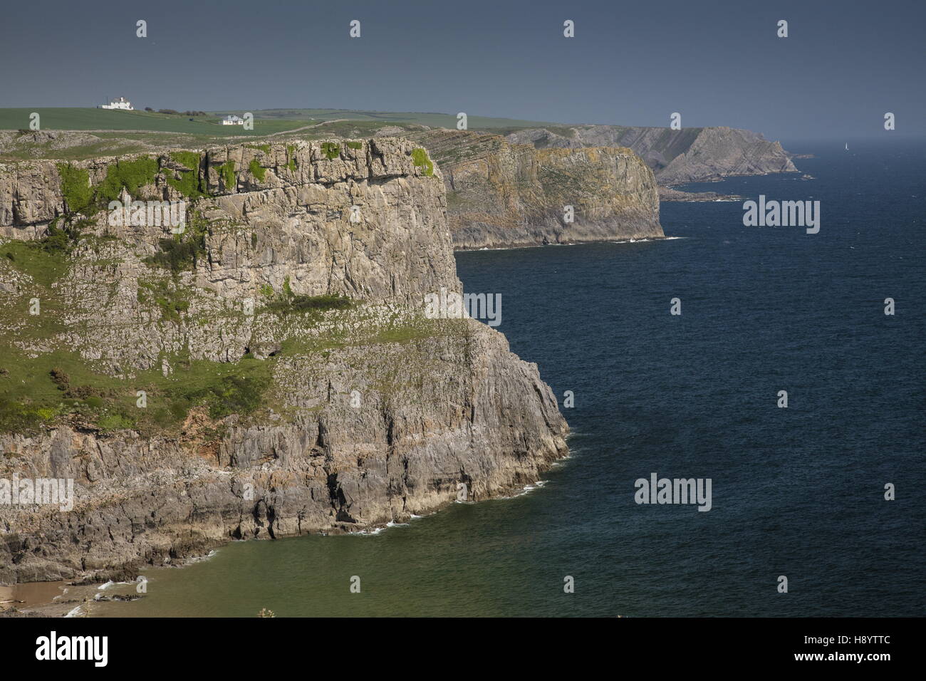 Die Kalksteinfelsen der Südküste der Halbinsel Gower, in der Nähe von Mewslade Bay; Gower Halbinsel AONB, Südwales. Stockfoto