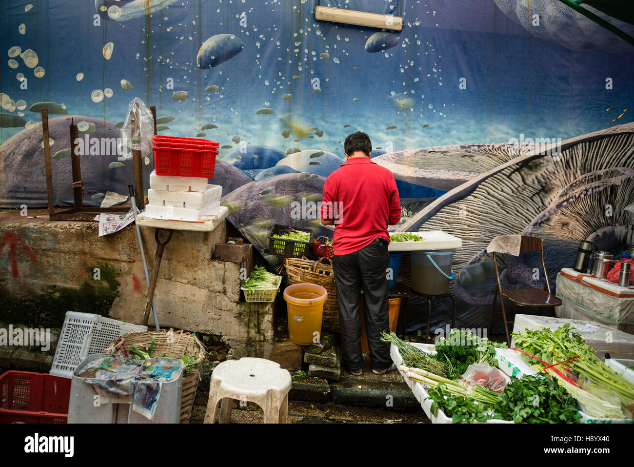 Hong Kong, 2013, die die Gegend westlich von Central Hong Kong Island enorm in den letzten 20 Jahren verändert hat. Stockfoto