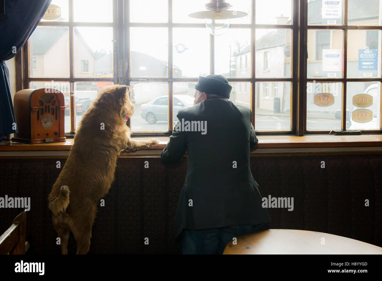 Alter Mann und sein Hund aus dem Fenster einer Kneipe in Coachford, Irland suchen. Stockfoto