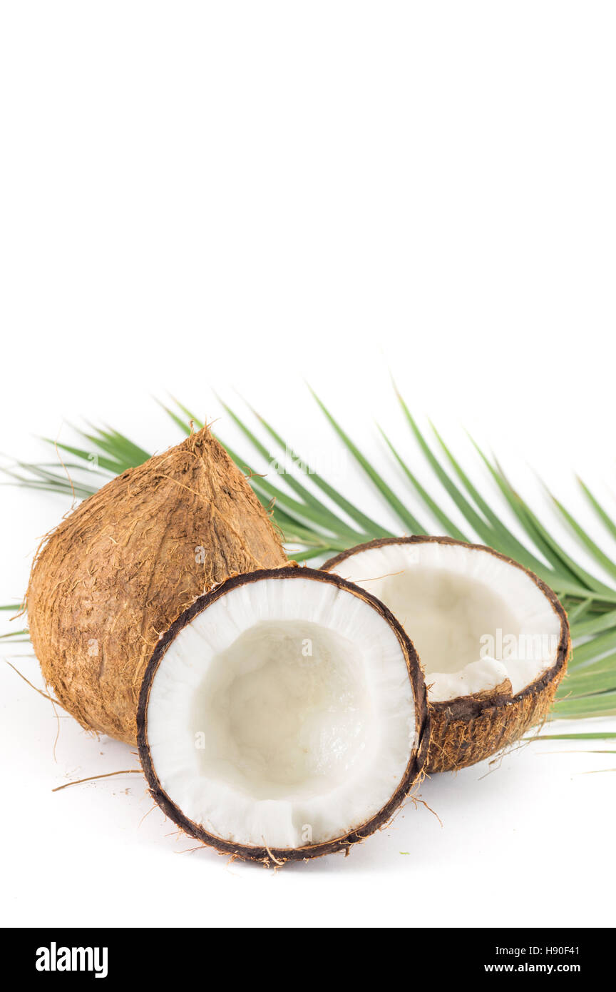 Offene und ganze Kokosnüsse und Palmblättern auf weiß Stockfoto