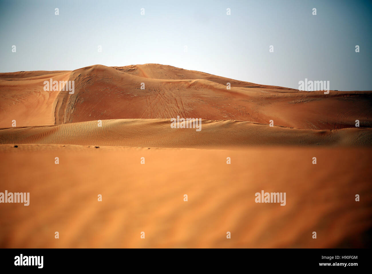 Sanddünen in den Vereinigten Arabischen Emiraten Stockfoto