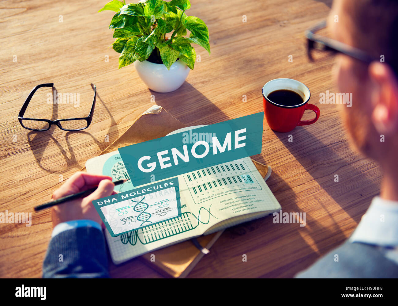 Genom-Biologie DNA Identität Stem Zellkonzept Codierung Stockfoto