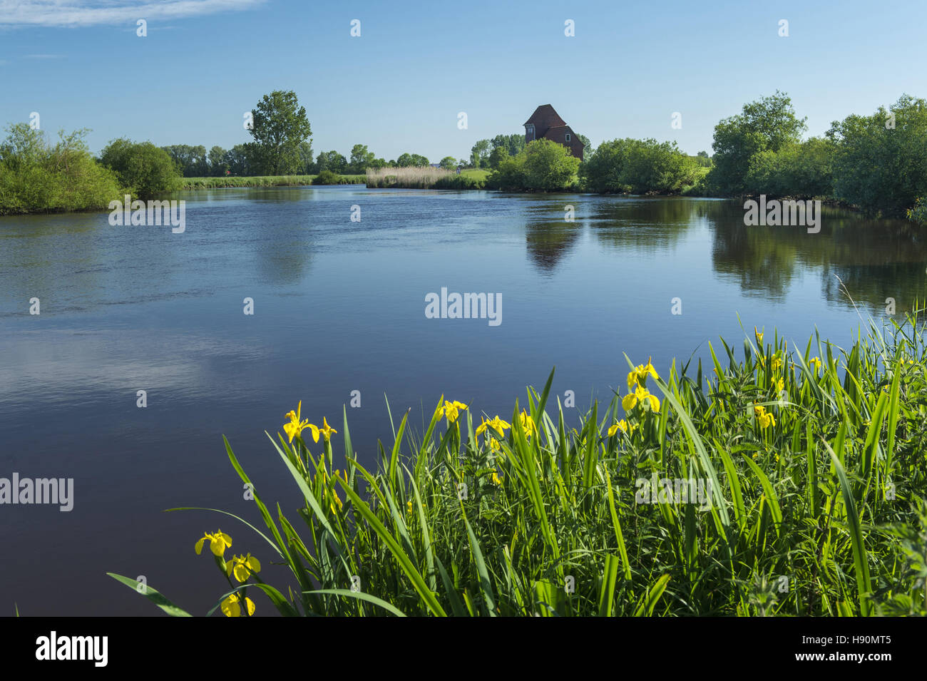 Frühling am Fluss Jümme, Landkreis Cloppenburg, Oldenburger Münsterland, Niedersachsen, Deutschland Stockfoto