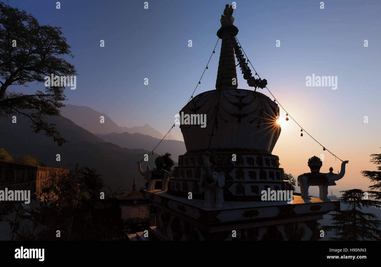 Sonnenaufgang an der Stupa in Lhagyal Ri, in der Nähe von Tsuglagkhang complex, McLeod Ganj, Dharamsala, Himachal Pradesh, Indien Stockfoto