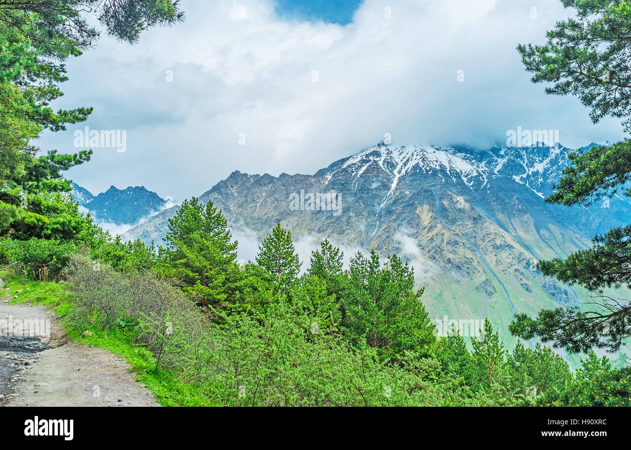 Die Footapath durch die Nadelwälder des Kasbegi National Park verbindet Stepantsminda Resort und zurGergeti Trinity Church, am Fuße des Stockfoto