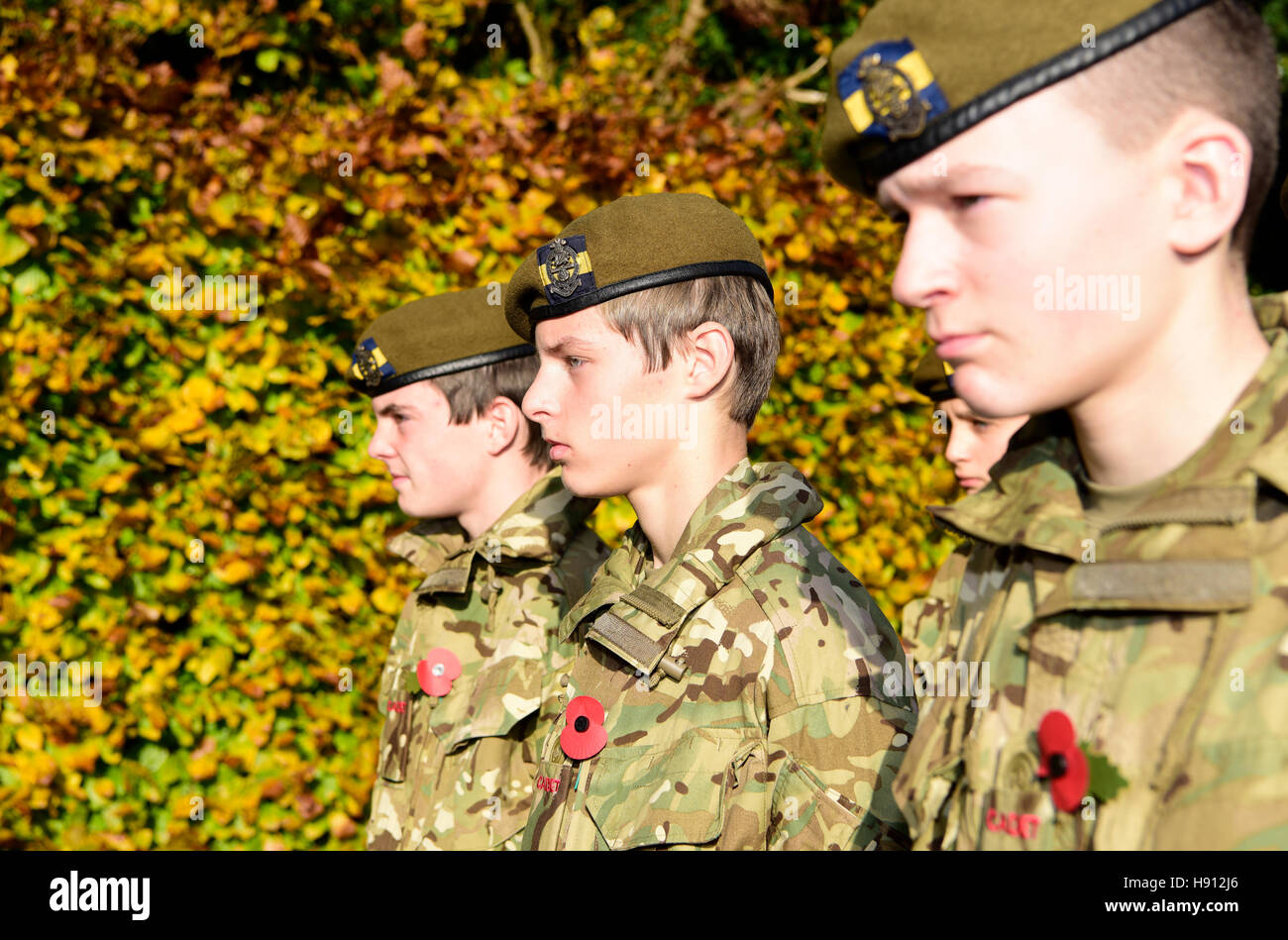 Armee-jüngstere Söhne besuchen Remembrance Sunday, Haslemere, Großbritannien. 13. November 2016. Stockfoto