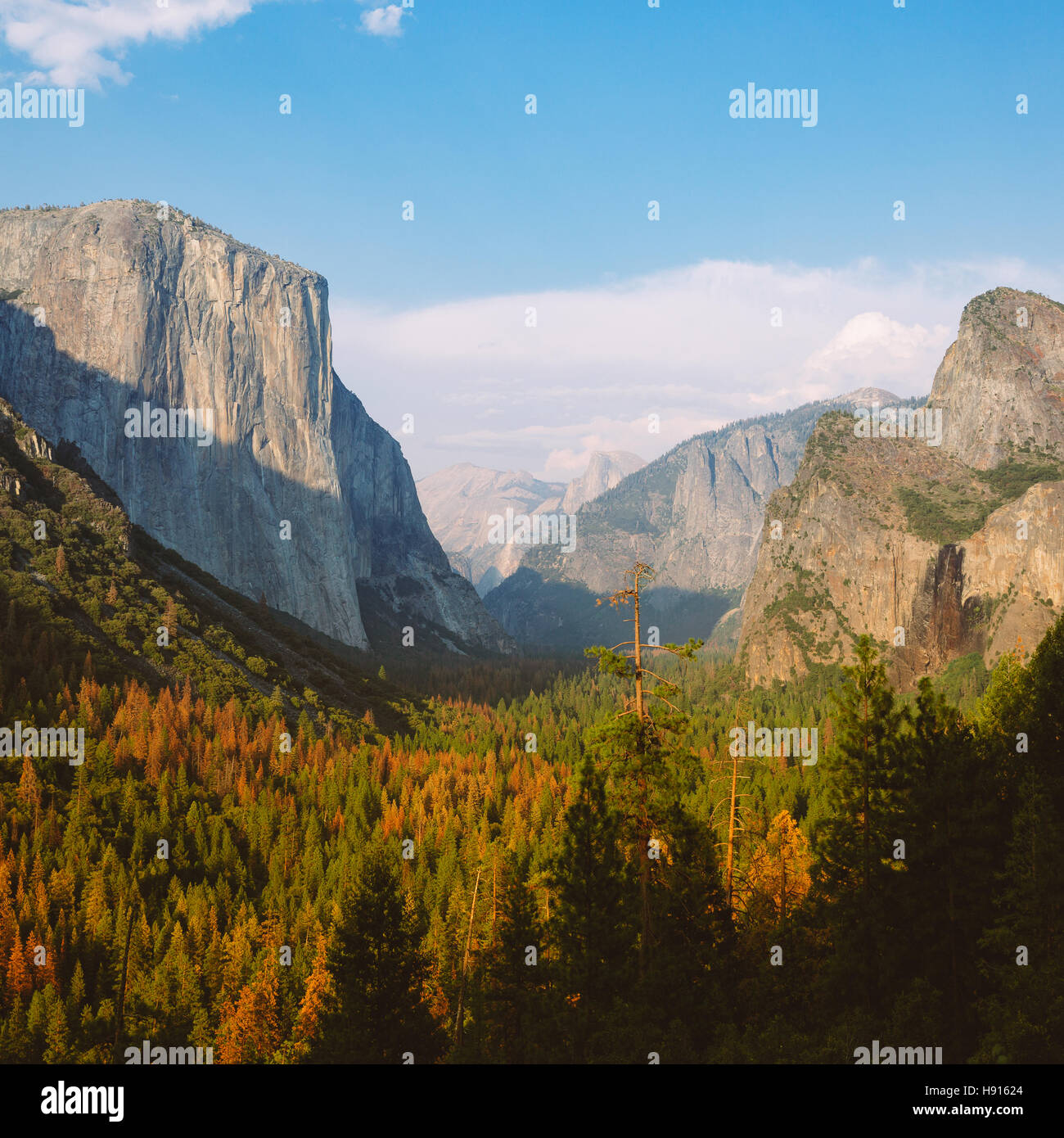 Tunnel View im Yosemite National Park Stockfoto