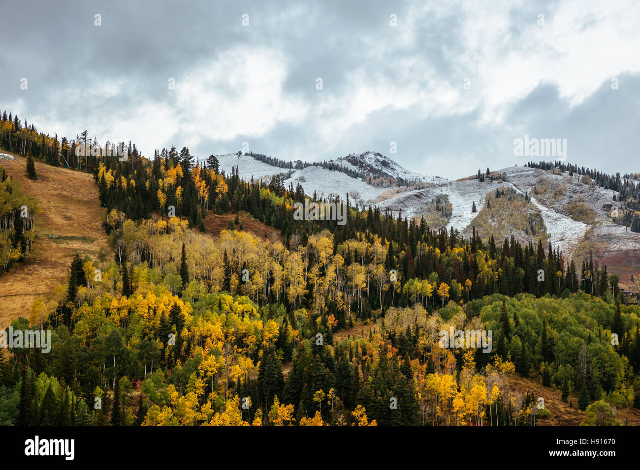 Blätter fallen und eine Prise Schnee Stockfoto