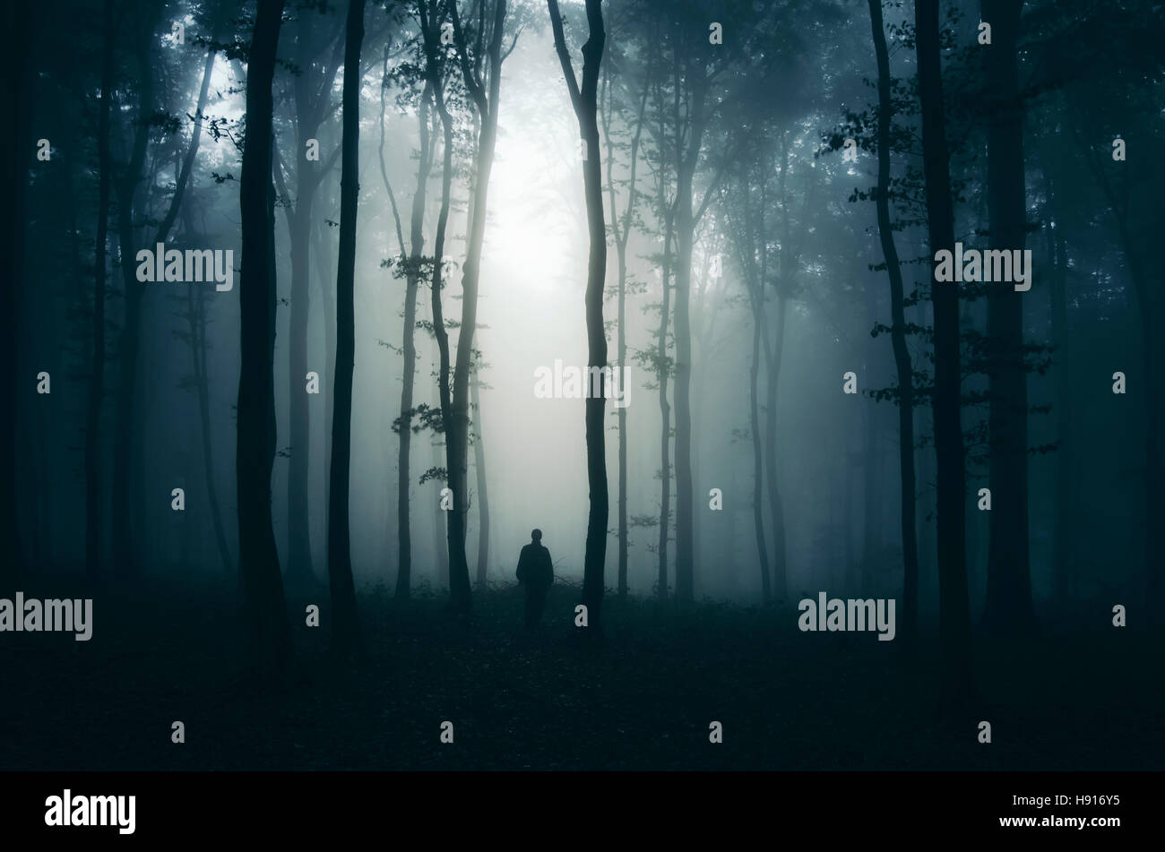 Übernachtung in geheimnisvolle Waldlandschaft. Bäume in der Dunkelheit in nebligen Wäldern mit Mann silhouette Stockfoto