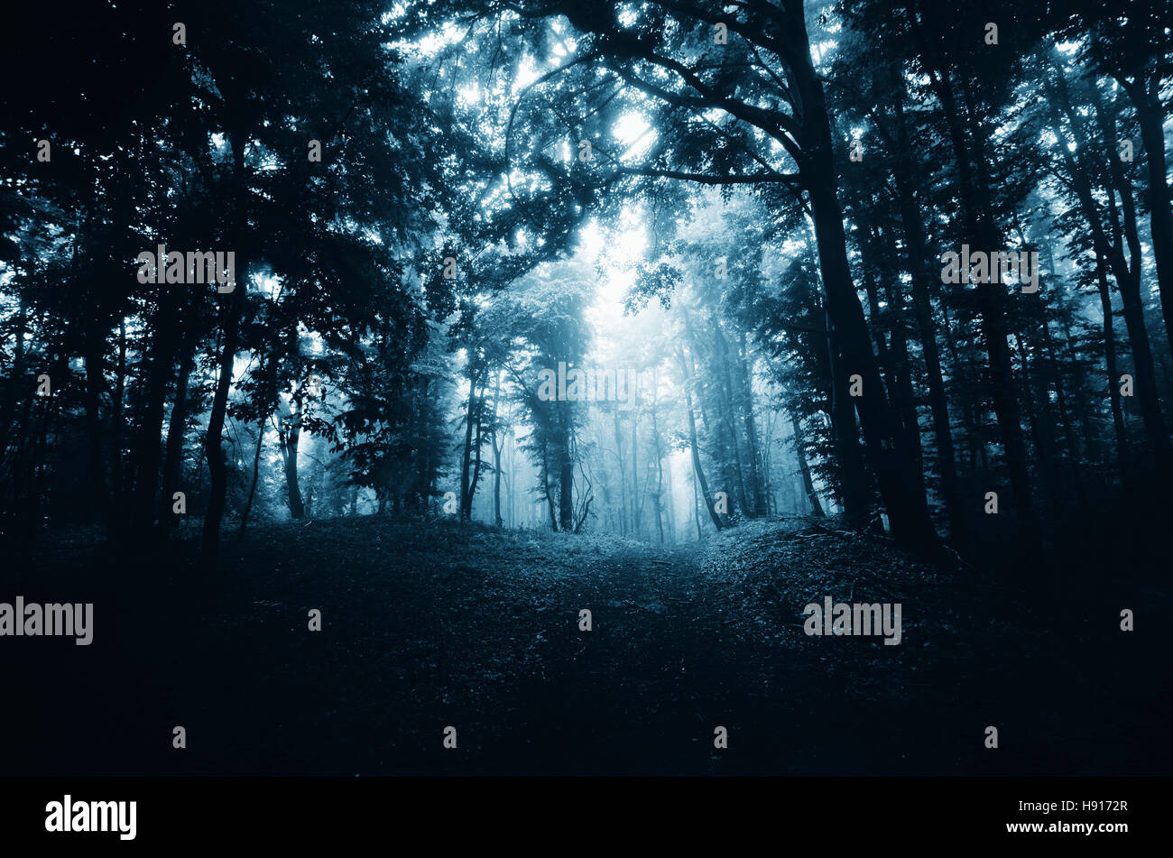 Dunklen Waldweg, scary Halloween-Nacht-Atmosphäre-Hintergrund Stockfoto