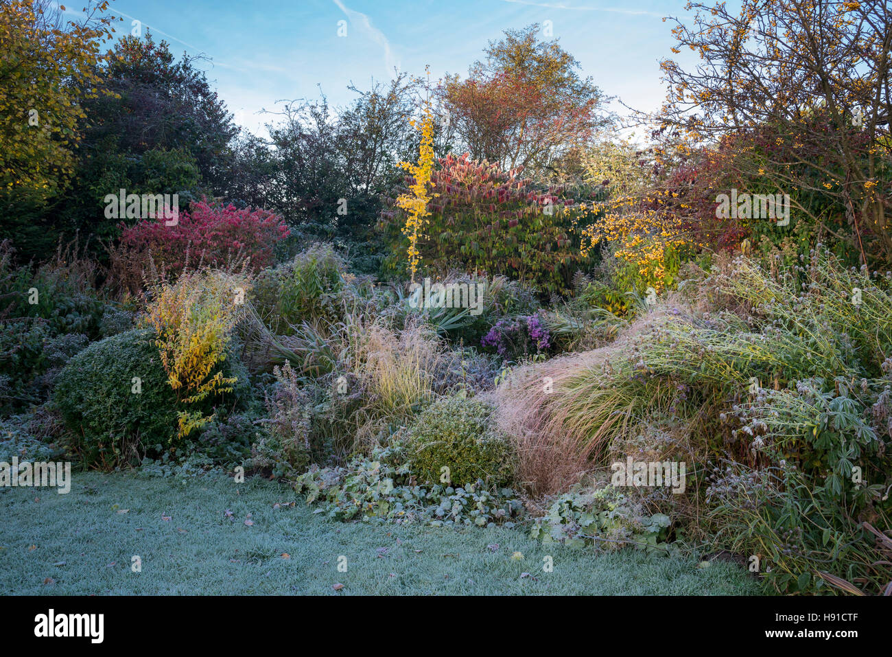 Ein englischer Landschaftsgarten an einem frostigen Herbstmorgen. Stockfoto