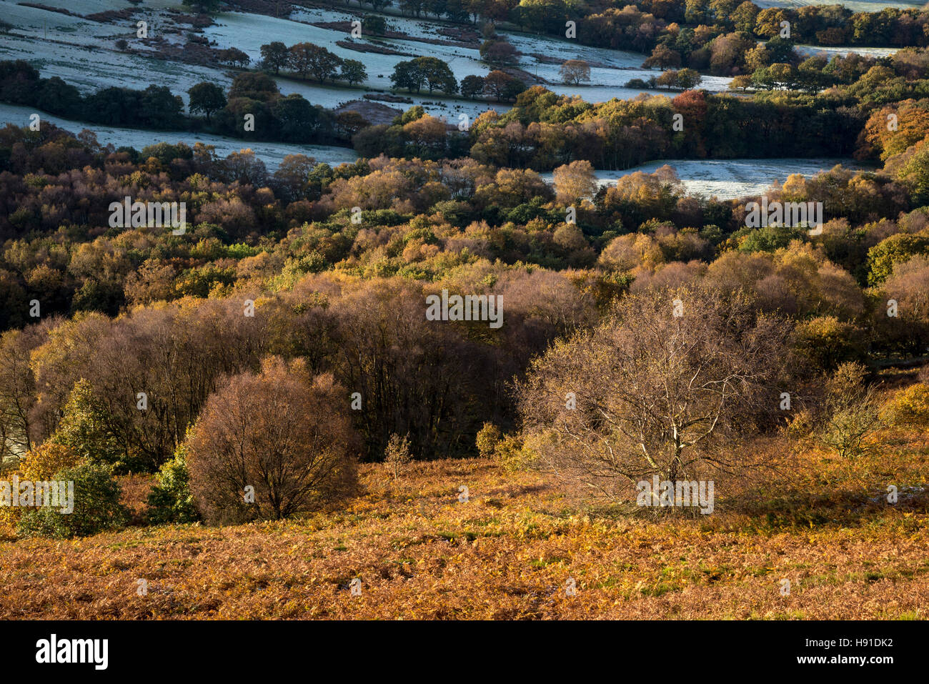 Frostiger Morgen in der englischen Landschaft in der Nähe von Glossop in Derbyshire. Stockfoto Frostiger Morgen in der englischen Landschaft in der Nähe von Glossop in Derbyshire. Stockfoto