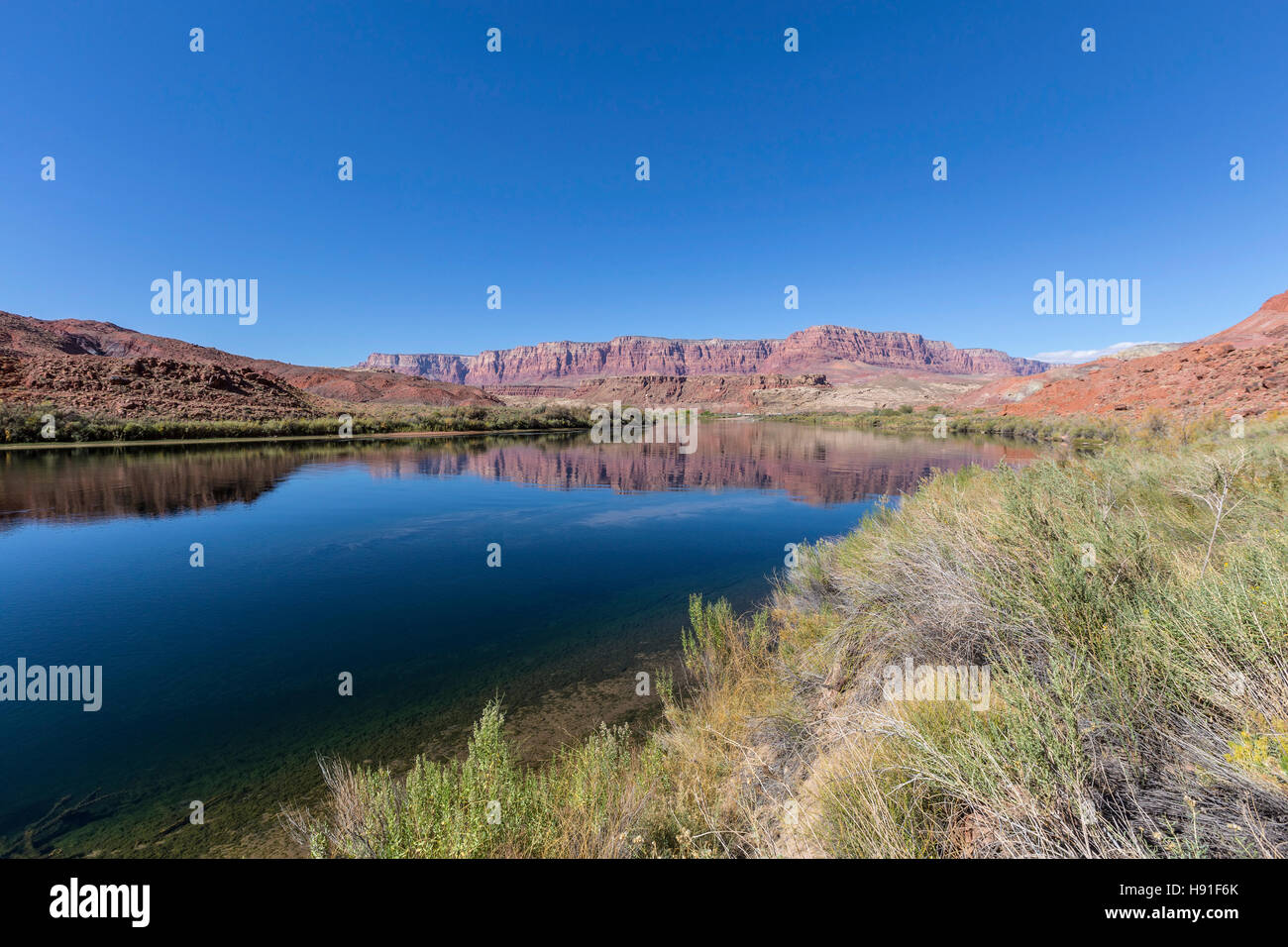 Colorado River in der Nähe von Lees Ferry bei Glen Canyon National Recreation Area im nördlichen Arizona. Stockfoto