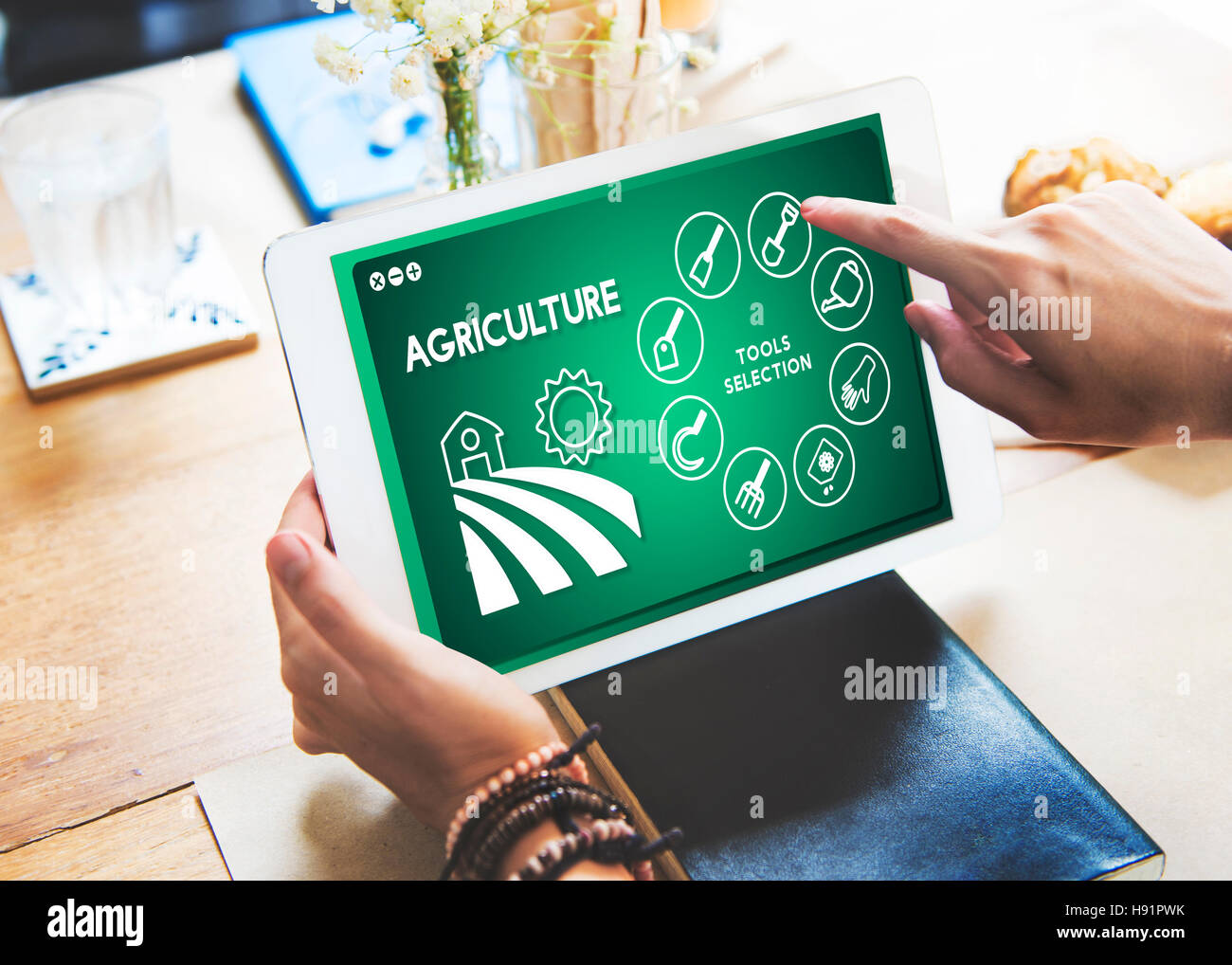 Landwirtschaft Farm ernten Produktionskonzept Pflanzen Stockfoto