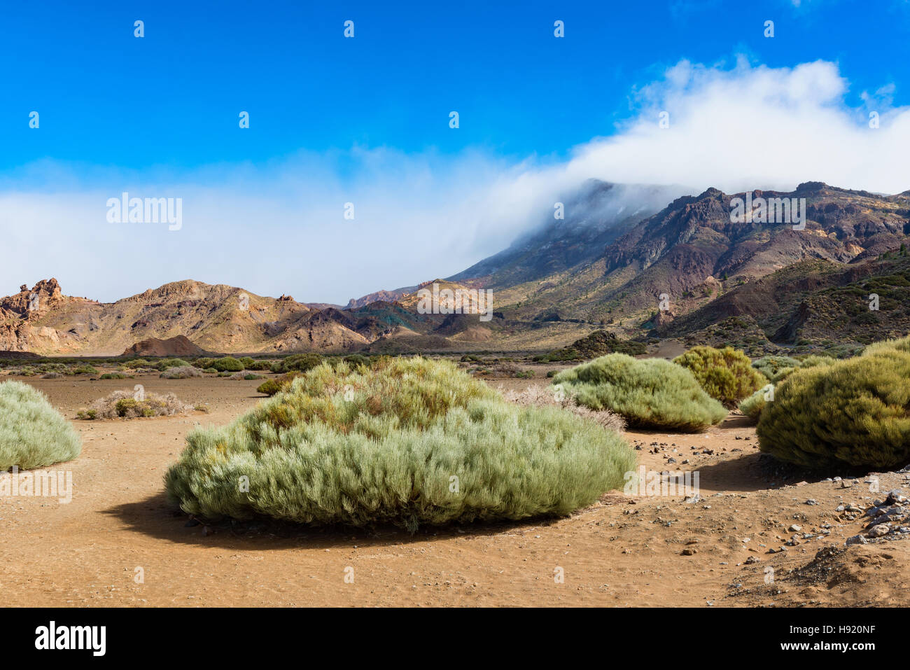 Ebene im Teide-Nationalpark Teneriffa Stockfoto