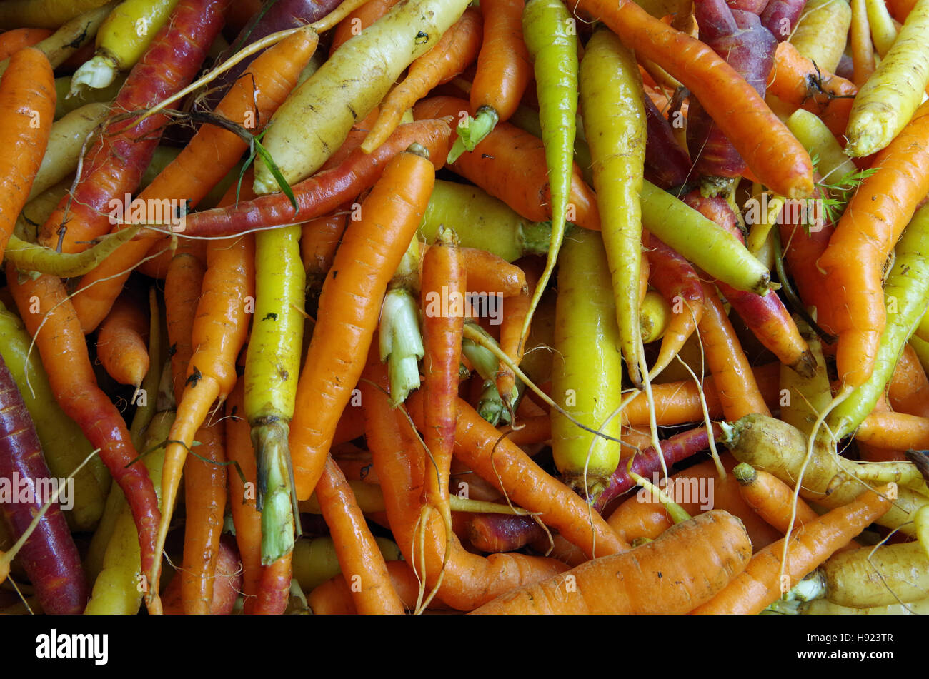 Rustikale Babykarotten Regenbogen aufgetürmt her Markt gesehen von oben closeup Stockfoto