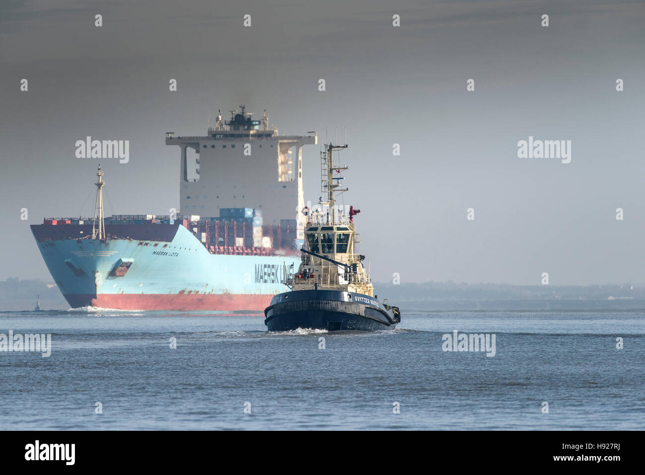 Der Schlepper Switzer Bootle begleitet das Containerschiff Maersk Lota, wie sie flussaufwärts auf der Themse dampft. Stockfoto