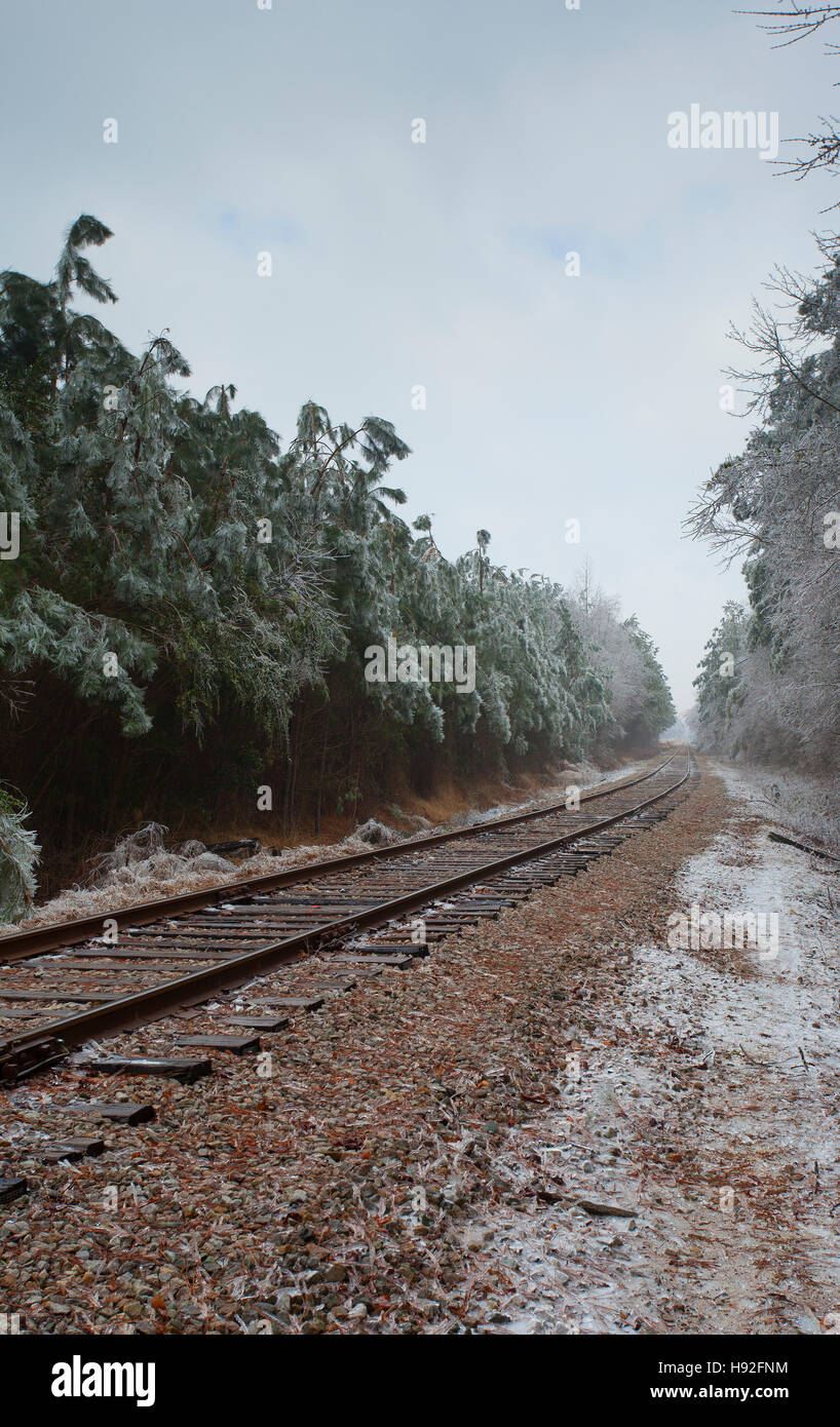 Bahngleis an einem nebeligen Tag durch einen eisigen Wald Stockfoto