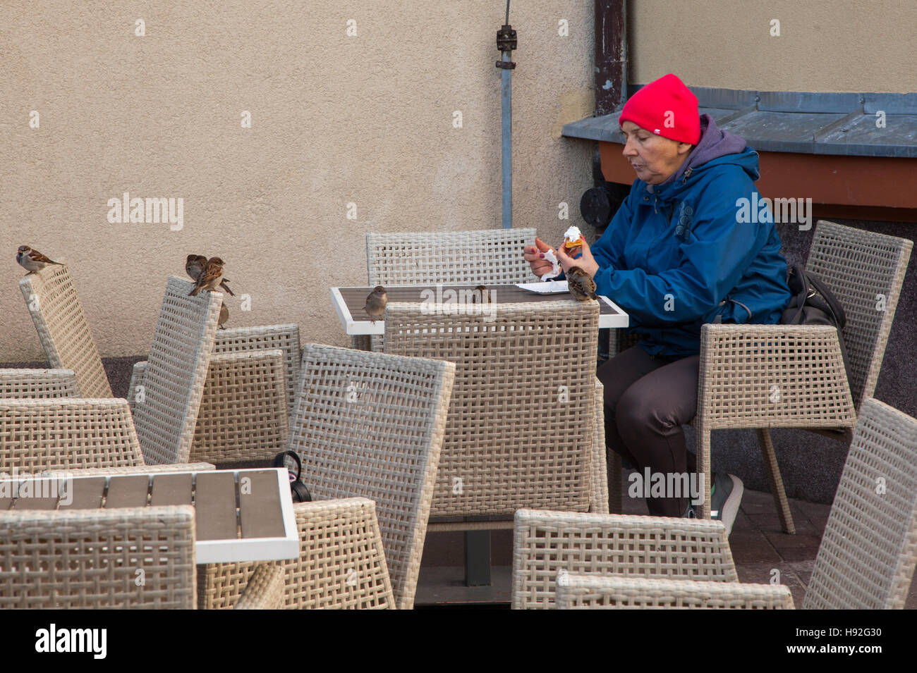 Frau in einem roten Bob Hut und blauen Mantel draußen sitzen in einem Café Essen mit Spatzen sitzen auf den Stühlen Essen warten Stockfoto