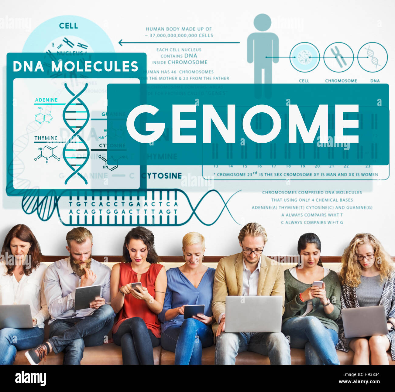 Genom-Biologie DNA Identität Stem Zellkonzept Codierung Stockfoto