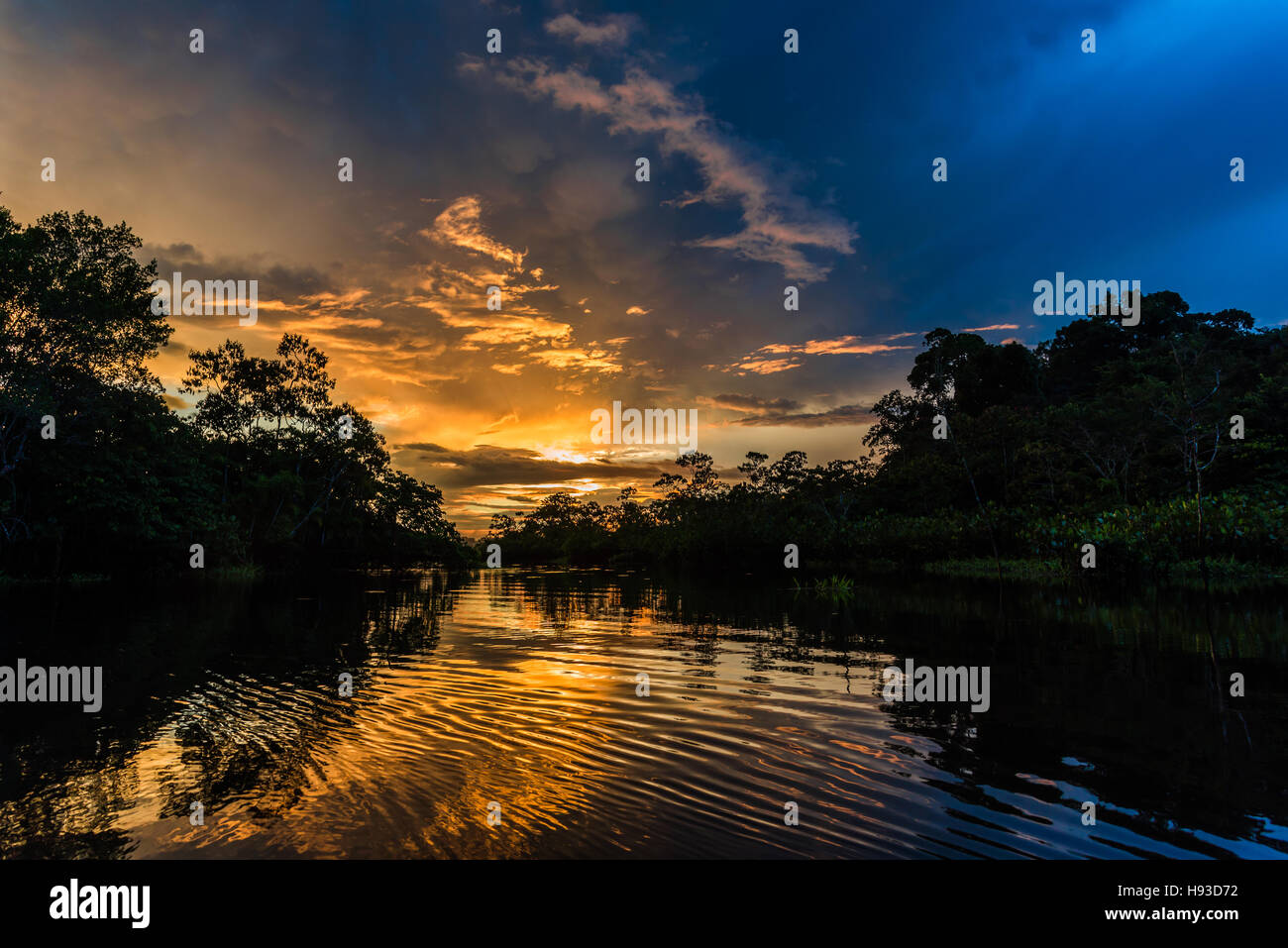 Goldene Wellen und bunten Wolken bei Sonnenuntergang in der Amazonen. Yasuni-Nationalpark in Ecuador, Südamerika. Stockfoto