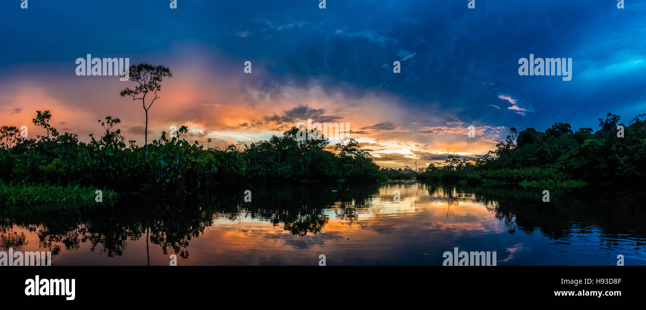 Panorama von bunten Wolken bei Sonnenuntergang in der Amazonen. Yasuni-Nationalpark in Ecuador, Südamerika. Stockfoto
