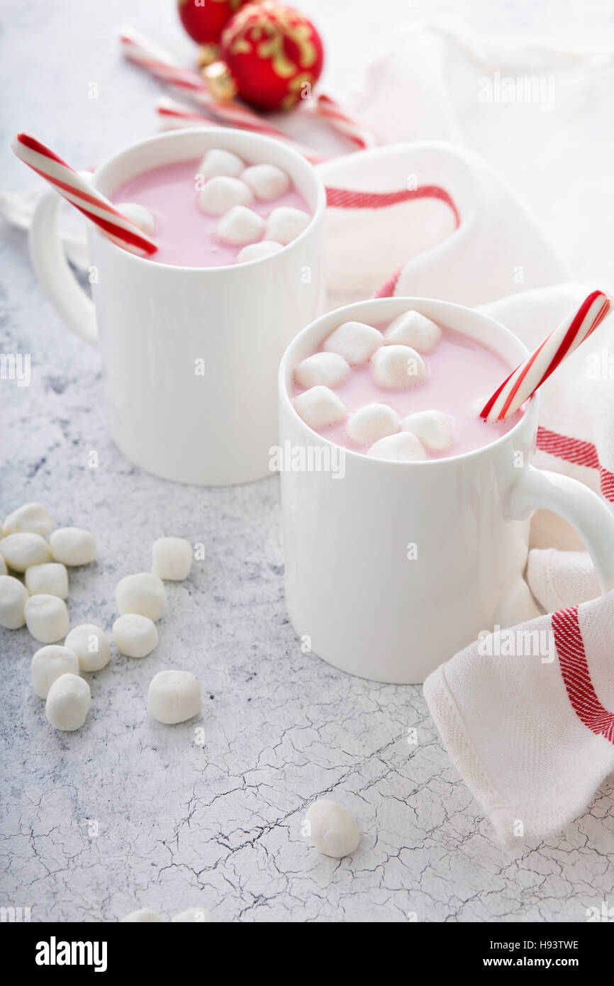 Heiße Schokolade Pfefferminze mit Zuckerstangen Stockfoto