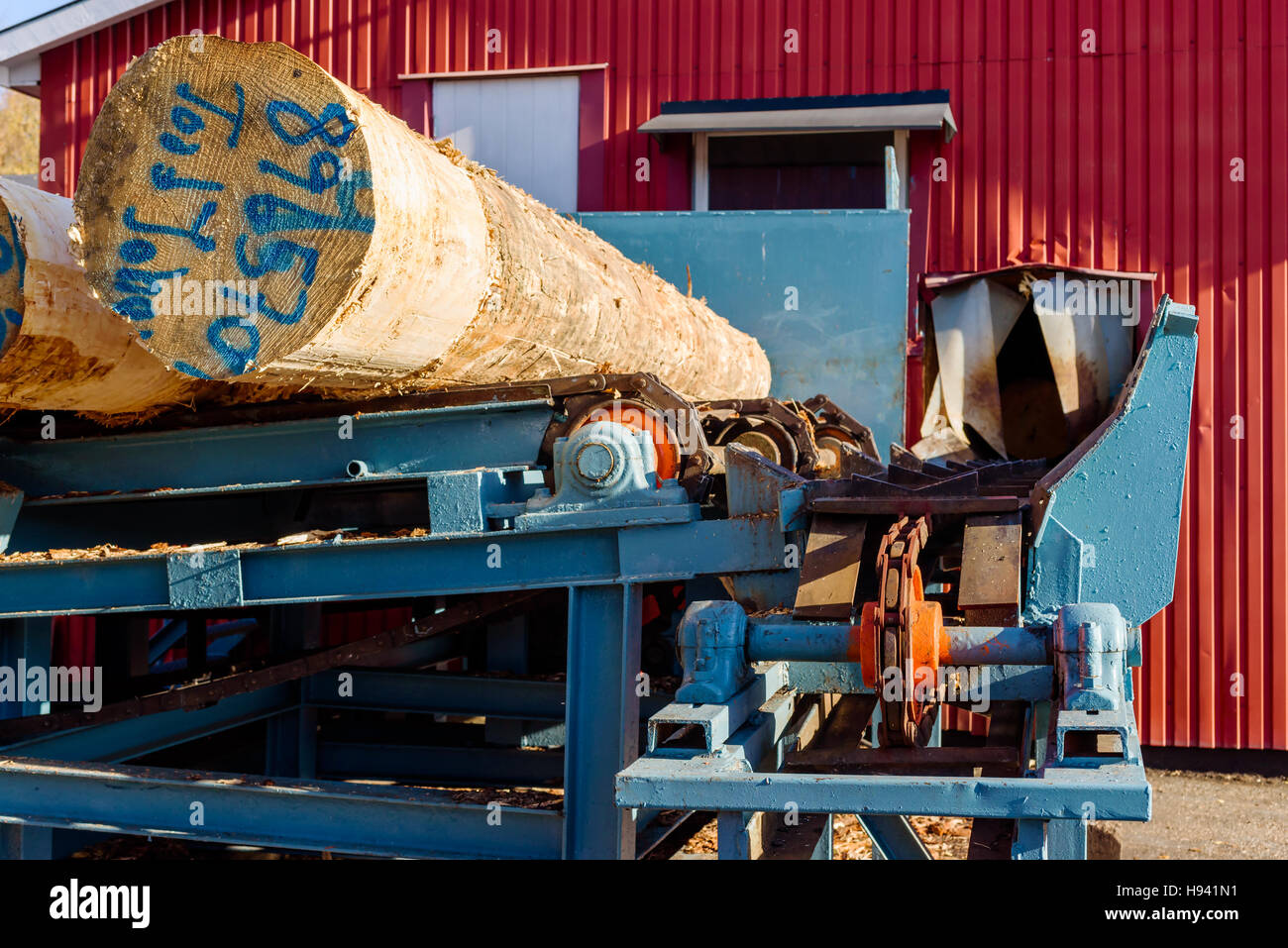 Brakne Hoby, Schweden - 29. Oktober 2016: Dokumentation über den Zugang der Öffentlichkeit Industriegebiet. Futterstelle Holz in einem Sägewerk mit anmeldet Förderband. Stockfoto