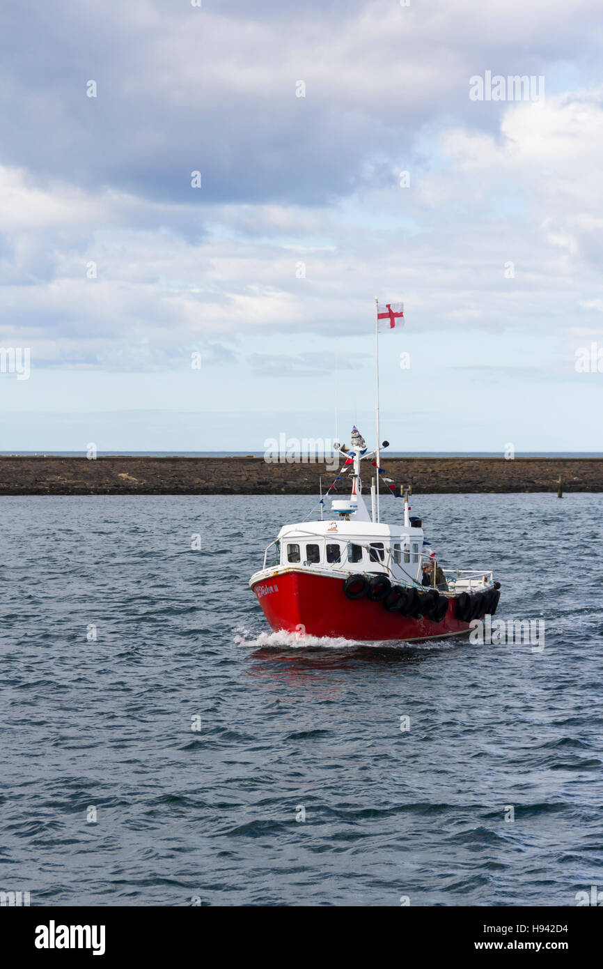 Papageitaucher Kreuzfahrten "G Fisher III" Wildlife cruise Boot Wiedereinstieg in den Hafen zu schlendern, Northumberland. Stockfoto