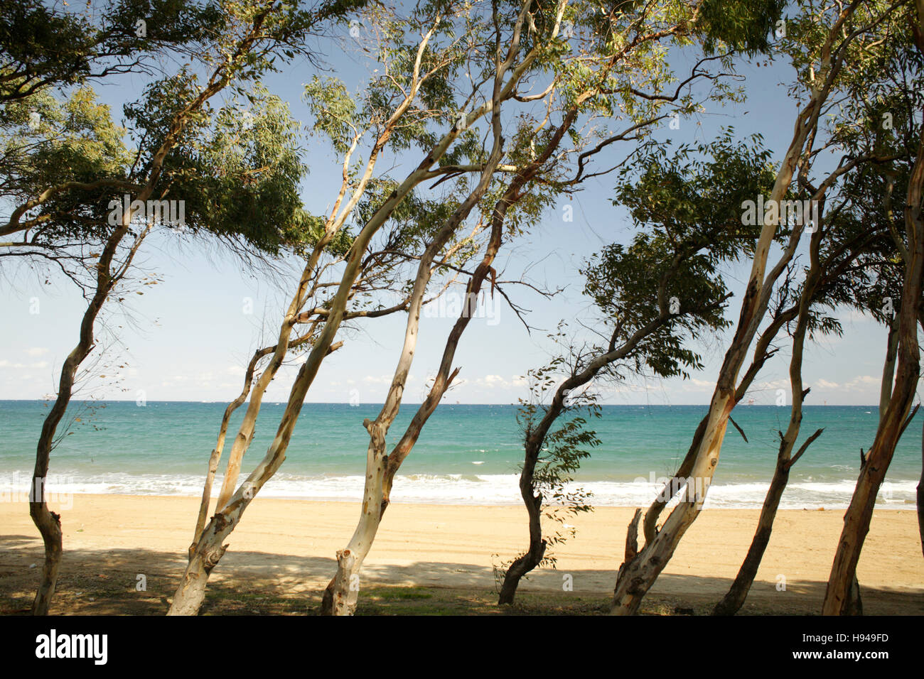 Strand, Kalabrien, Italien, Europa Stockfoto