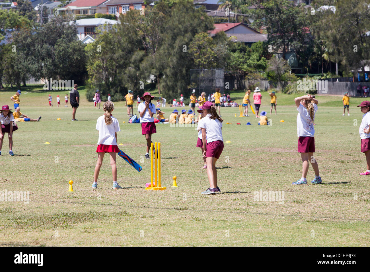 Kinder im Grundschulalter Mädchen Schule auf dem Sportplatz spielen Cricket, Narrabeen, Sydney, Australien Stockfoto