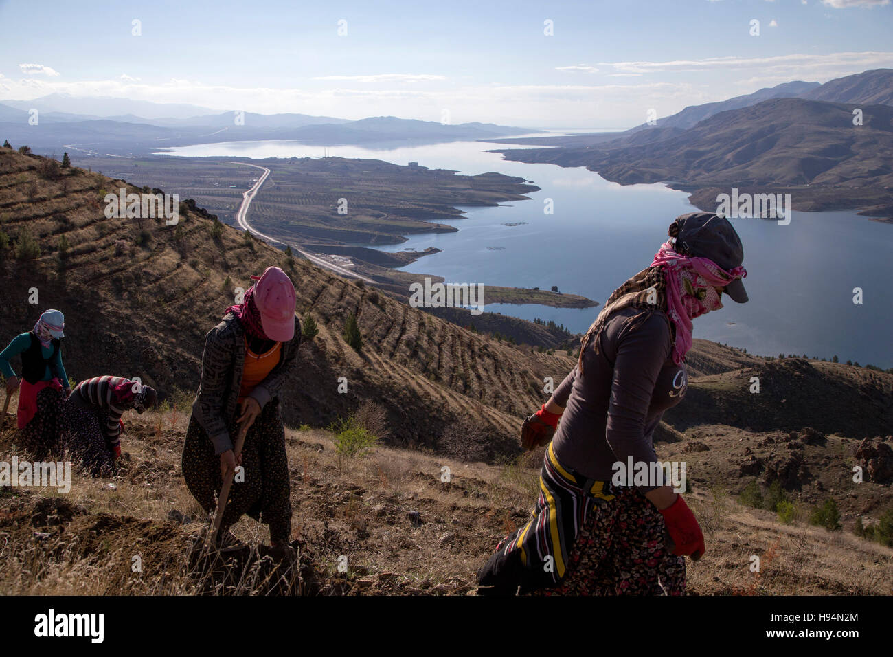 Saisonarbeiter, die für die Arbeit in der Grünkohl Dorf Malatya aus den verschiedenen Provinzen Kurdistan kommen. Stockfoto
