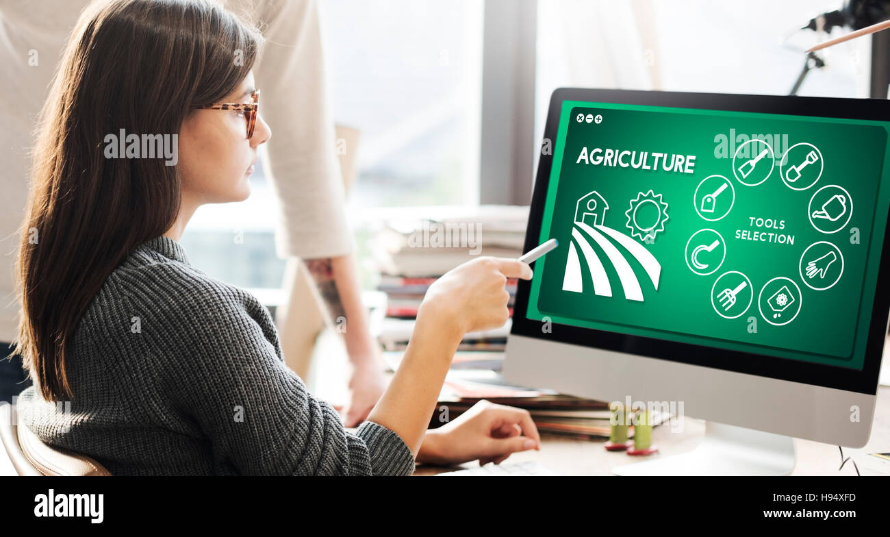 Landwirtschaft Farm ernten Produktionskonzept Pflanzen Stockfoto