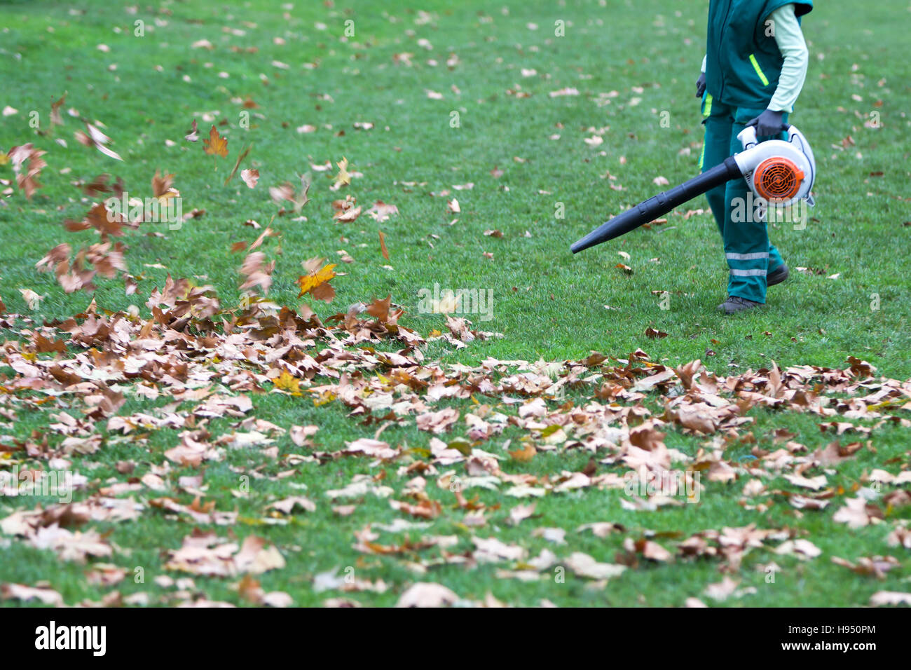 Arbeiter im Park im Herbst sammelt Blätter mit Laubbläser Stockfoto